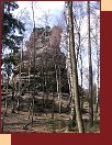 Krkavčí skály   